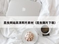 高唐昆虫网站高清照片素材（昆虫图片下载）